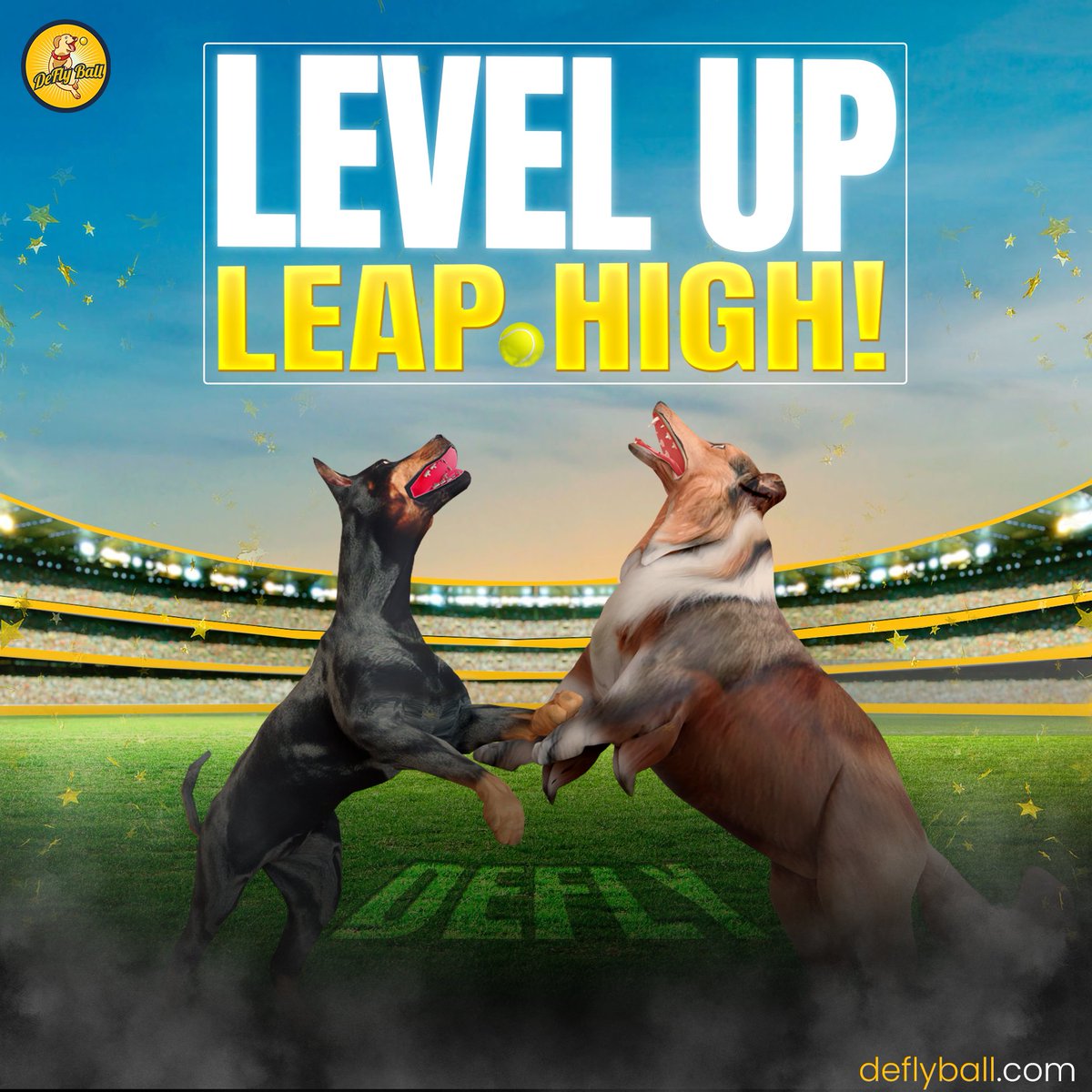 DeflyBall's tweet photo. 🐶Ready to play fetch like never before - #DeFlyBall is here with a twist of airborne action🎾

Are you up for challenge? Join us &amp; let's create moments that'll go down in canine history! 🏆🐾

⏩https://t.co/iAxyNtbaOo

#activision  #SeriesX #TheCreator #HowardStern #MarkCuban https://t.co/GCl6SyqTlu