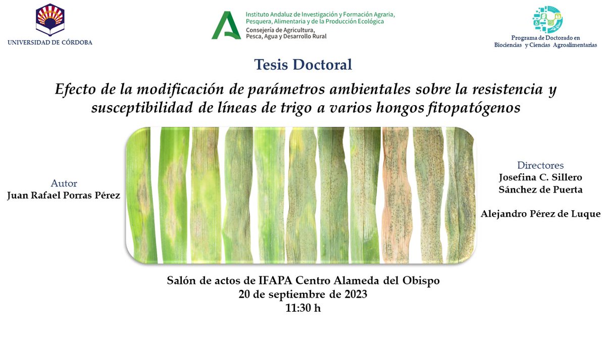 Cerestrs1's tweet photo. Defensa de #tesis doctoral sobre los efectos ambientales en la resistencia y susceptibilidad a enfermedades de #trigo, en @IfapaJunta Alameda del Obispo, como parte de los trabajos de @Cerestrs1 en los que participan @IAS_CSIC e @irtacat. Realizada en el programa @PD_BioCienAgro. https://t.co/gazCYzSuPS