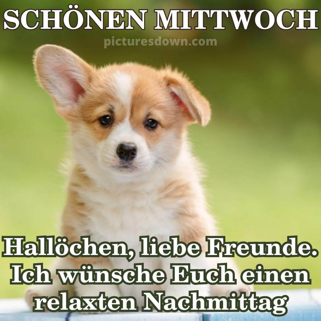 SCHÖNEN MITTWOCH NACHMITTAG BILDER 🇩🇪 👇 https://t.co/pzKzCIOuqR #bilder  #karte #mittwoch #schönenmittwochnachmittag #mittwochnachmittagbilder  #mittwochnachmittag #gutenmorgen #whatsappbilder #Foto #deutsch #lustig  #grüße #witzig #wünsche #sprüche, image size:1080x1080
