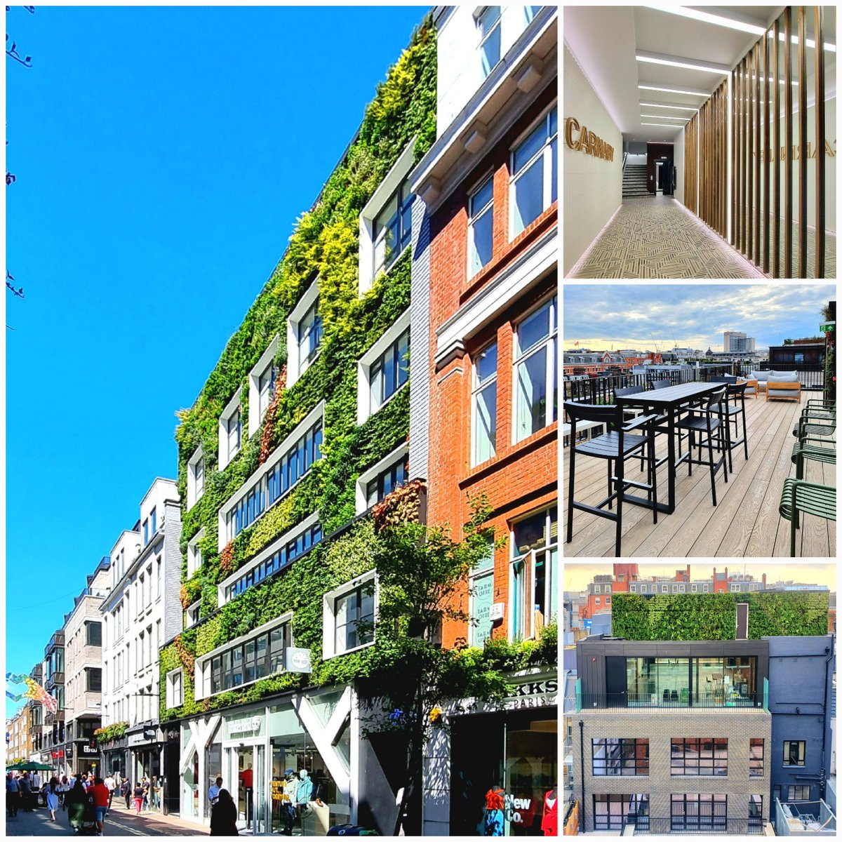 We are really thrilled that our our office refurbishent and extension scheme at 5-6 Carnaby Street has been completed and handed over to our clients #shaftesburycapitalplc The development has a transformational new four storey green wall #greenwall #carnabystreet #retrofit