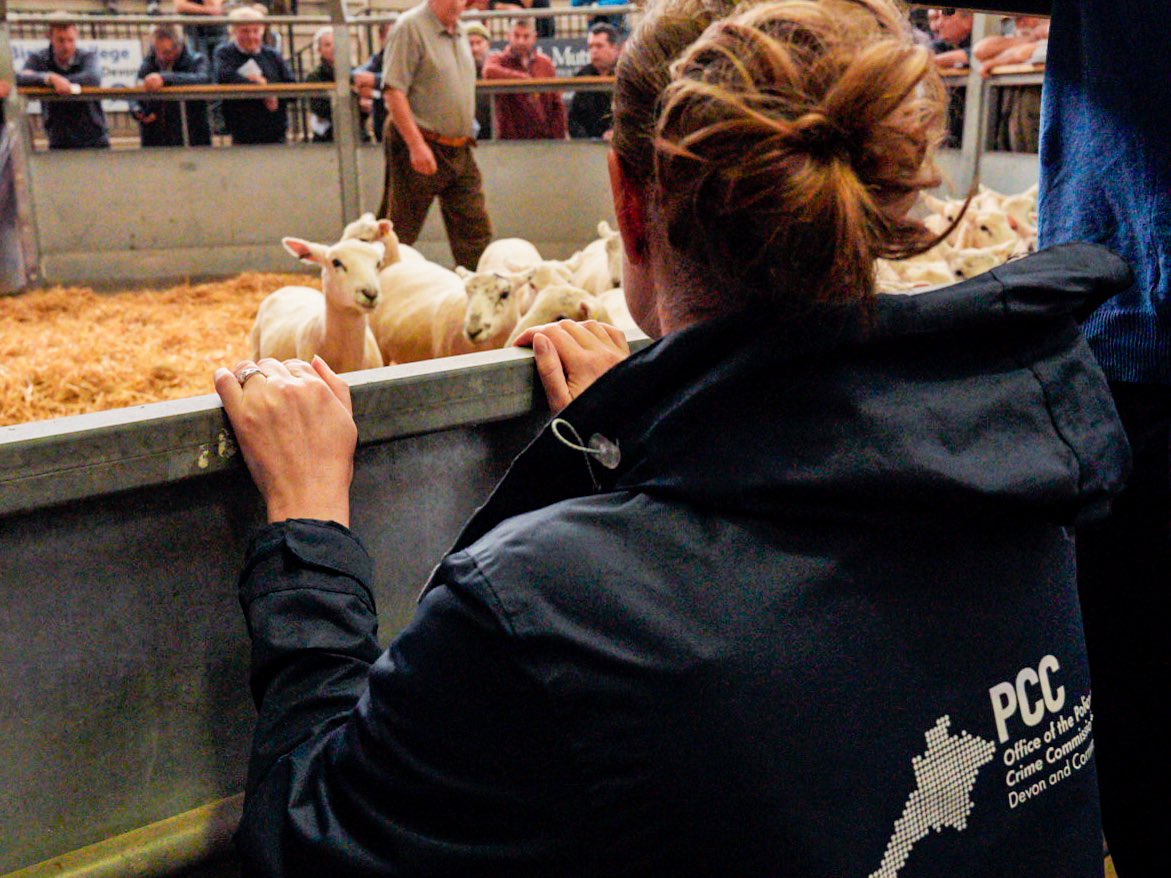 The Commissioner has dropped in at Exeter Livestock Market today for Rural Crime Week. Let us know about crime in your rural community by filling out this survey surveymonkey.co.uk/r/RuralDC