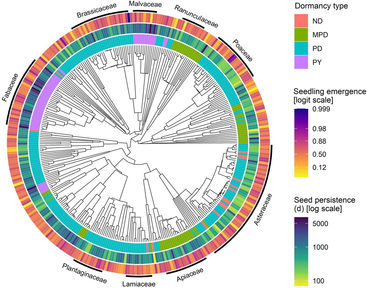 NewPhyt's tweet photo. A long-term experiment reveals no trade-off between seed persistence and seedling emergence.

📖 https://t.co/VeKpIUY2O0
by Chen et al

@SichongChen https://t.co/v5bVh8bf4h