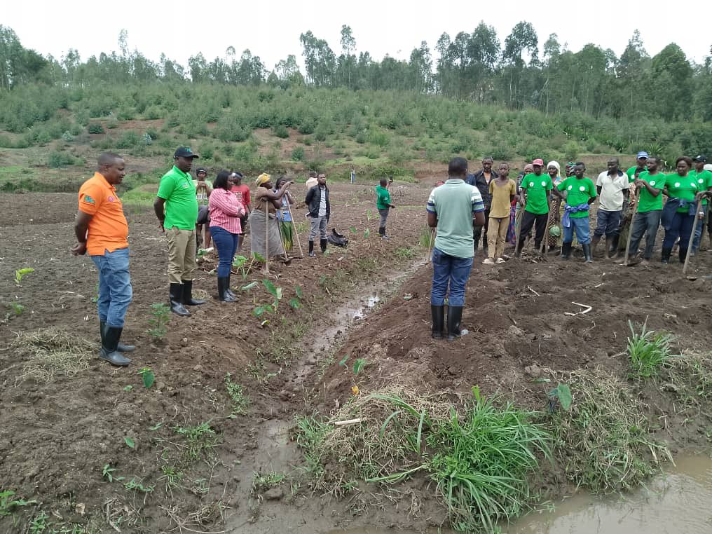 SHYOGWE Sector tweet media