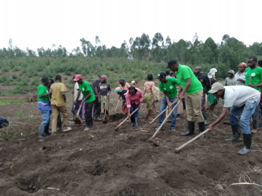 SHYOGWE Sector tweet media