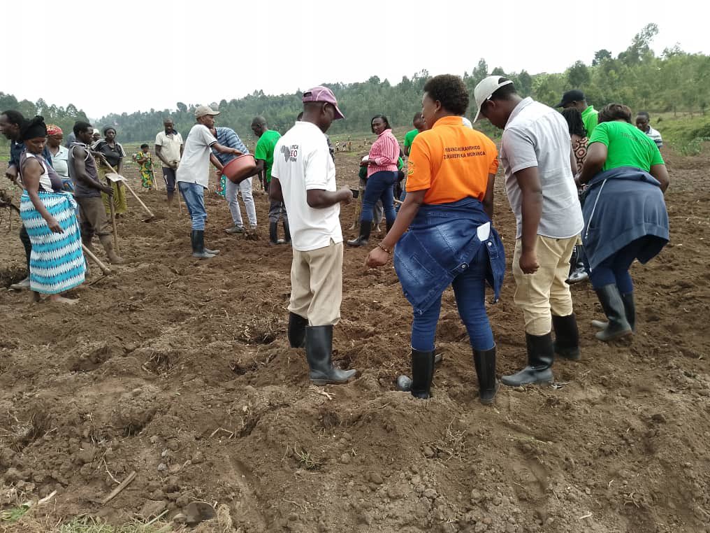 SHYOGWE Sector tweet media