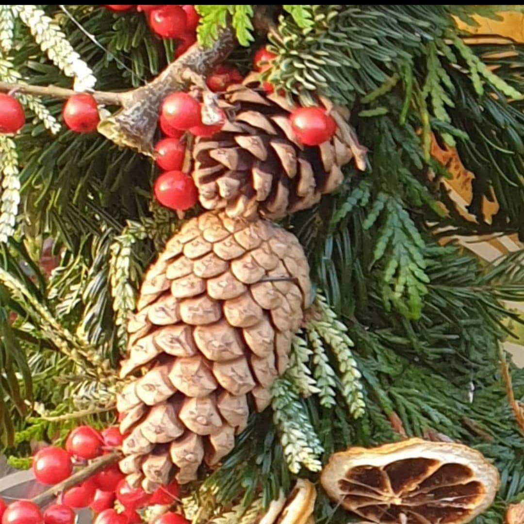 FleurMaison's tweet photo. Fleur Maison 
Christmas is coming
#wreathworkshop #florist #wreaths #wreathclass https://t.co/utJkK8JZ4q