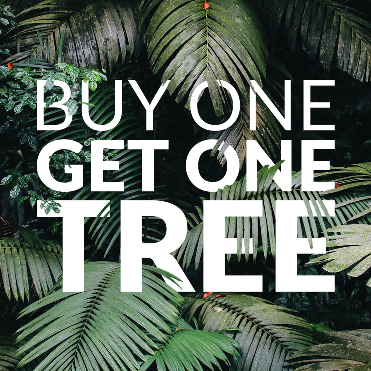 Our favourite promotion is on the way. 👏From 9am this Thursday - midnight on Sunday we fund the planting of a tree for every order you make! 🌱

You can read more by visiting our blog at spiritanimalclothing.co.uk 🌳

#buyonegetonetree #plantatree #treeplanting #lovetrees #trees