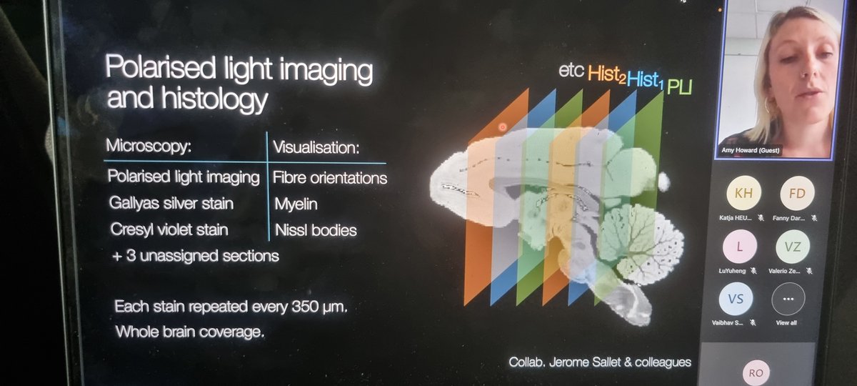 Roberto Toro r3rt0@mstdn.social r3rt0.bsky.social tweet media