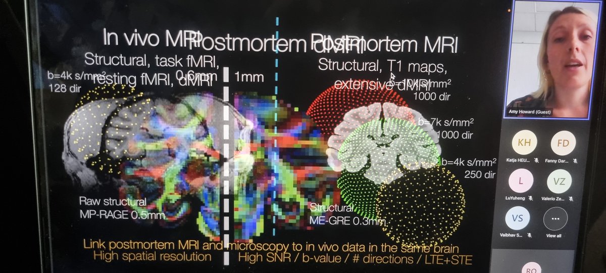 Roberto Toro r3rt0@mstdn.social r3rt0.bsky.social tweet media