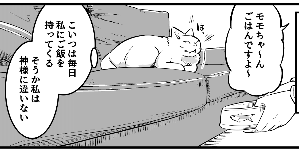 猫の思考