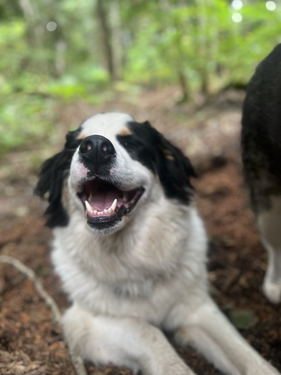 iRainyFox's tweet photo. She always looks so happy 🥺💜 https://t.co/NPGCxUY3CQ