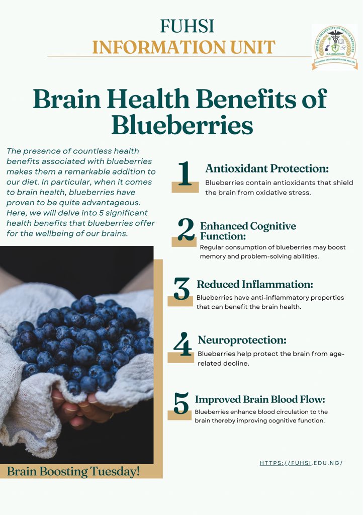 FUHSI_Official's tweet photo. Brain Boosting Tuesday! 🧠💙

Do you know that Blueberries 🫐 aren't just delicious; they're brain-boosting too! Explore 5 amazing ways blueberries can enhance your cognitive wellness

#BlueberryPower #BrainHealth #Superfoods https://t.co/ZllxdOnVEH