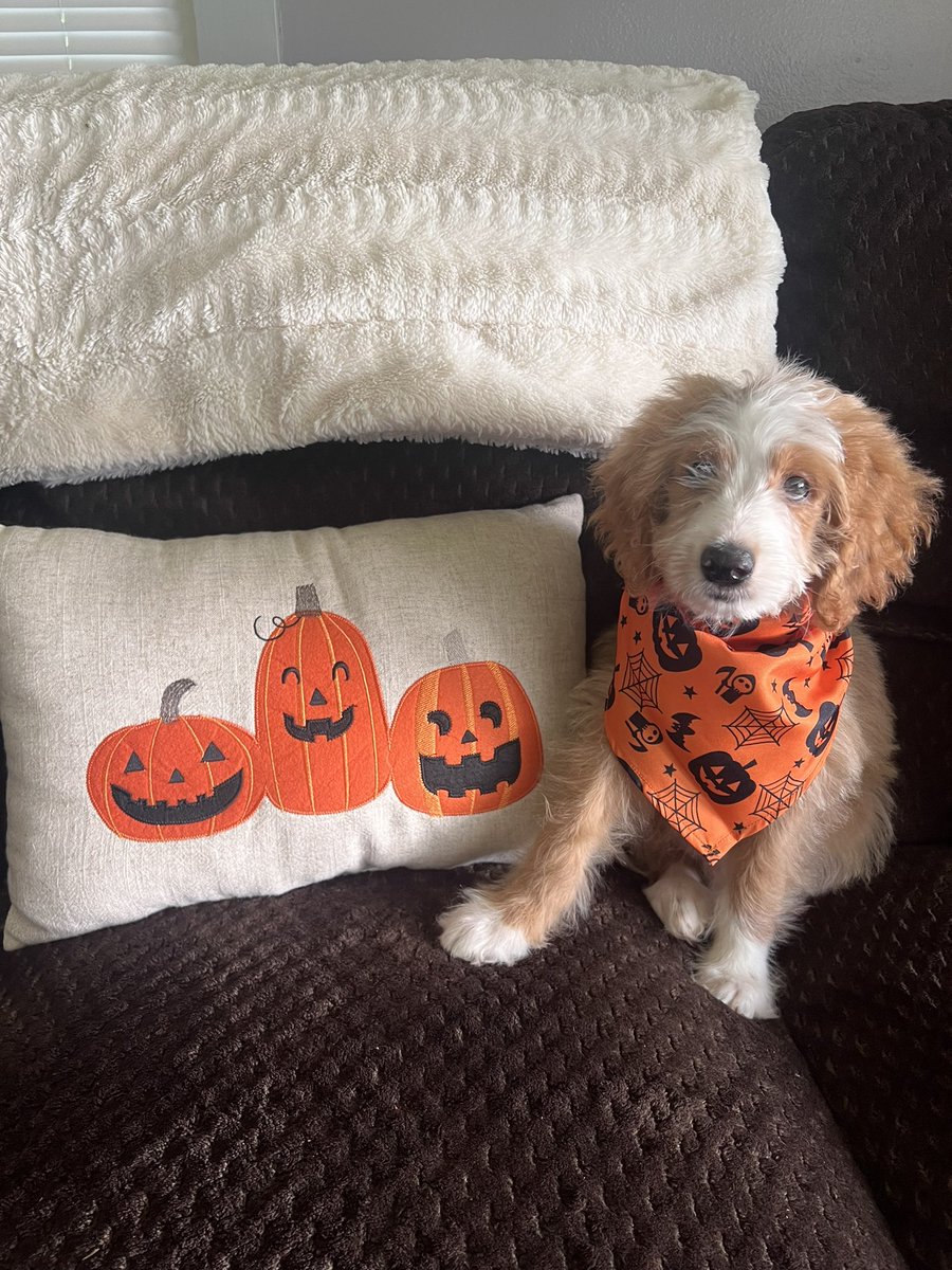 somebody’s ready for halloween 🎃