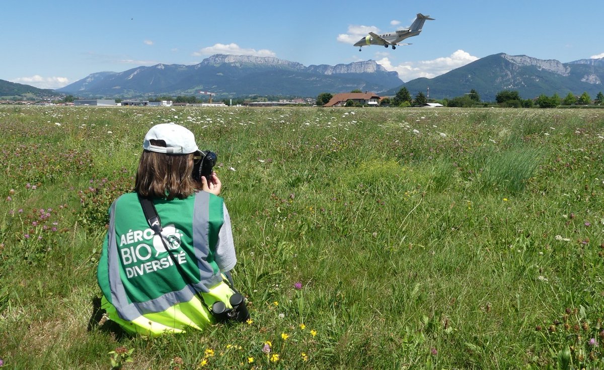 Ce samedi 23/09, l’aéroport d’Annecy invite le public à venir découvrir les coulisses de sa plateforme.🏔️
L’occasion pour nos équipes, qui seront sur place, de présenter le travail que nous y avons effectué depuis le début de notre collaboration en 2022.⬇️
annecy-airport.com