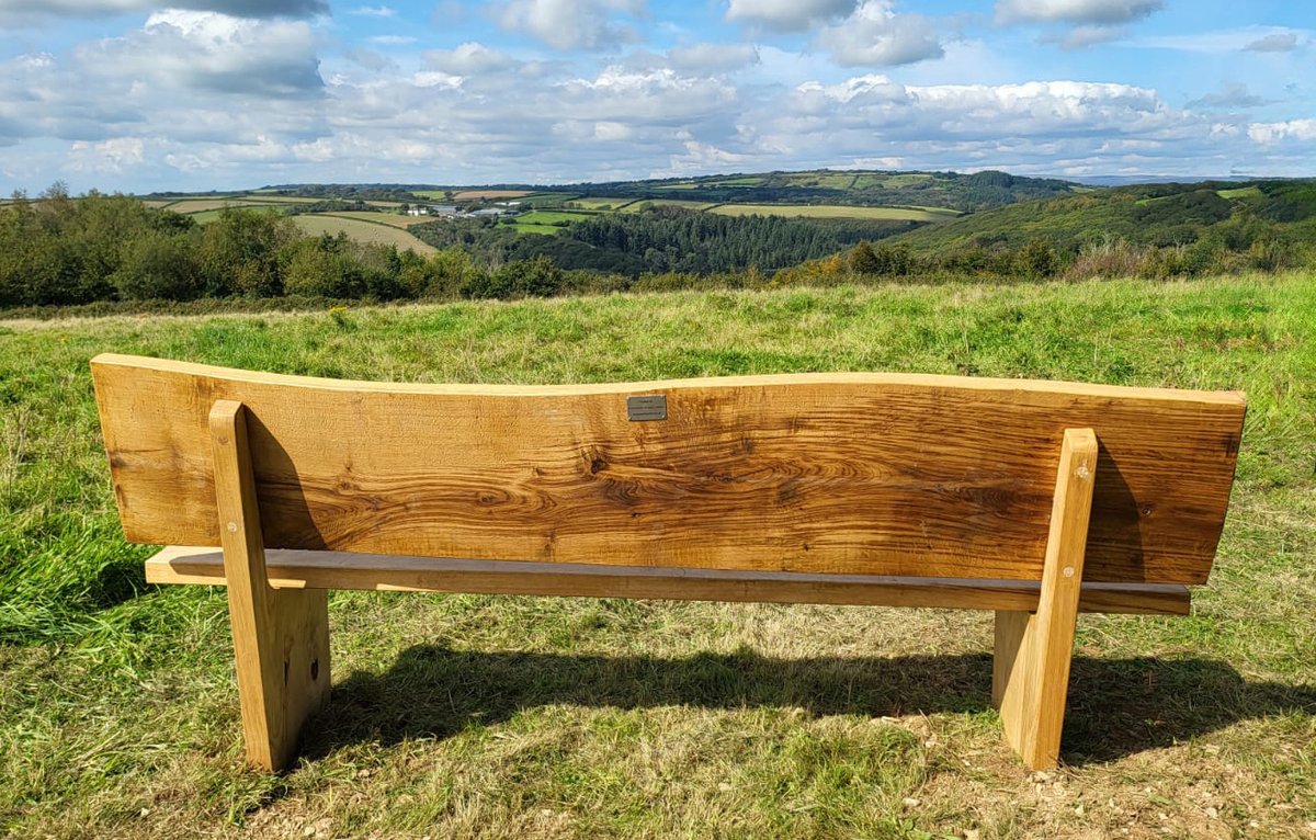 A glorious view from this installation point in Avon Valley Woods #southdevon. Mike Langman's @clennonvally artwork etched into @WoodlandTrust oak to celebrate the vision of Kenneth Watkins and the birthplace of @WoodlandTrust over 50 years ago.  #devon #benches #timberbenches
