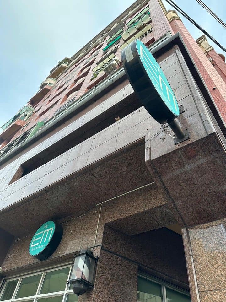 There is no cat in this image tweet media