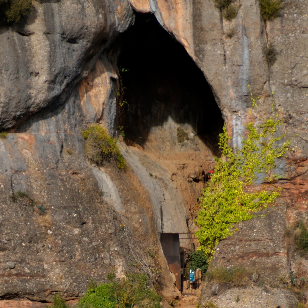 iphes's tweet photo. 🟣 #Neanderthal lovers of around the globe: New scientific article in @FrontiersIn with 54 unpublished neanderthal remains from #CovaSimanya (Barcelona) 🔗 Access the scientific paper: https://t.co/QWJ2y2ungh #simanyaneander https://t.co/dzJSSSyVRq