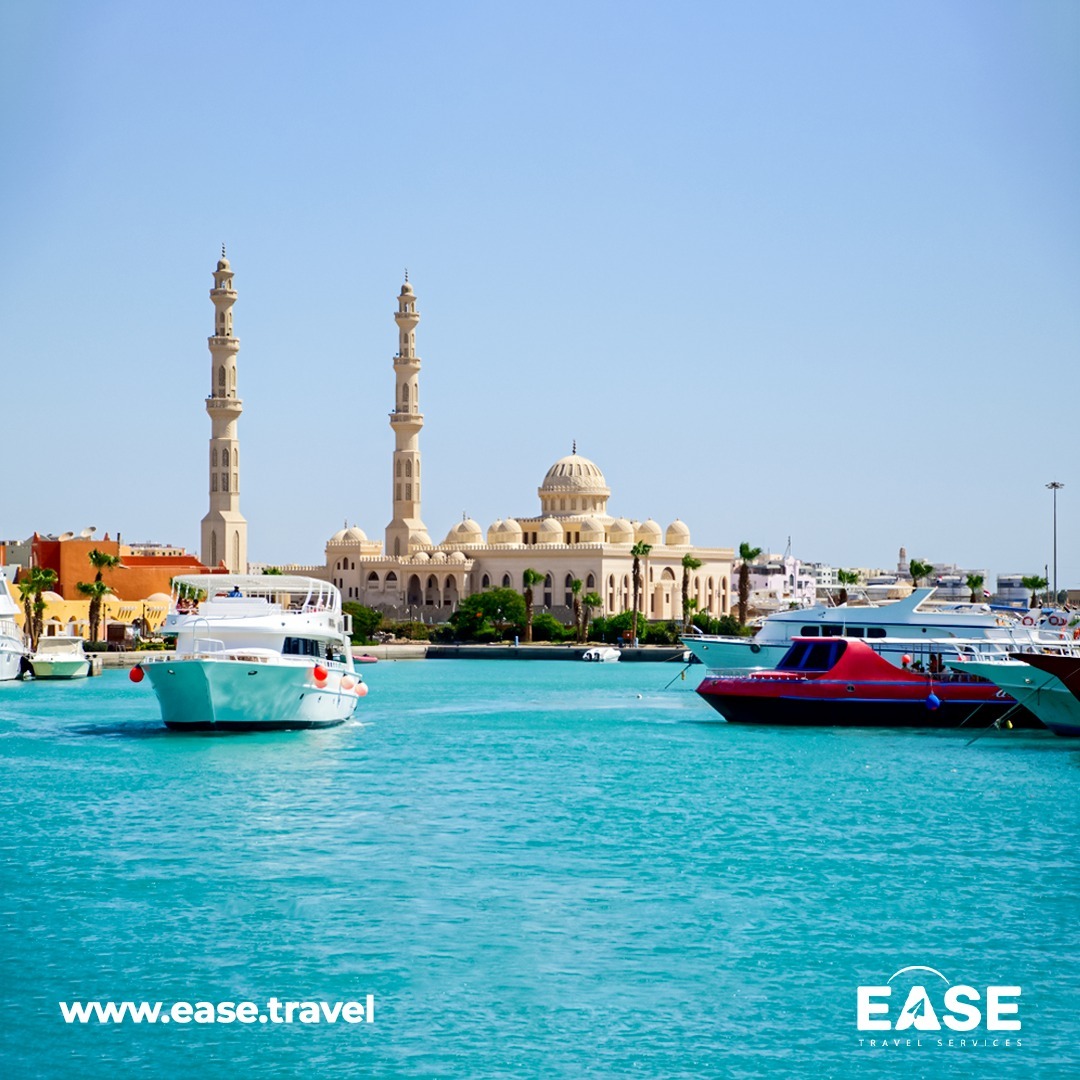 EaseFlight's tweet photo. 𝗣𝗮𝗿𝗶𝘀 🇫🇷 - 𝗛𝘂𝗿𝗴𝗵𝗮𝗱𝗮 🇪🇬 𝗔𝗹𝗹𝗲𝗿/𝗥𝗲𝘁𝗼𝘂𝗿
💰 𝗔 𝗽𝗮𝗿𝘁𝗶𝗿 𝗱𝗲 𝟰𝟳𝟬 𝟳𝟴 𝗘𝗨𝗥
🛫 𝗔𝘃𝗲𝗰 𝗧𝘂𝗿𝗸𝗶𝘀𝗵 𝗔𝗶𝗿𝗹𝗶𝗻𝗲𝘀
🧳 1x8kg en cabine et 2x23kg en soute.
📲 Les meilleurs prix ici : https://t.co/P1RDSibXAA
#Egypte #BilletsAvion #Easeflight https://t.co/NOetrn4owI