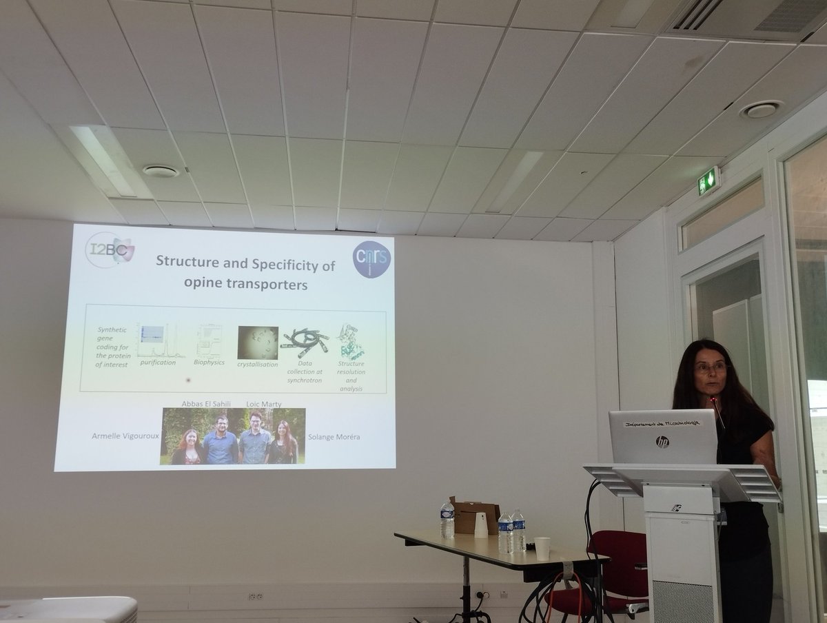 To start Agrobacterium23 afternoon Solange Morera from <a href="/I2BCParisSaclay/">I2BC Paris-Saclay</a> present a sum up of her work on opines transport using biophysic and structural biology methods