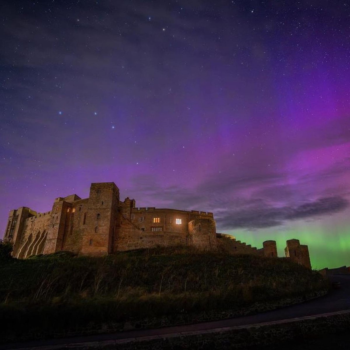 The Coastal Custodian tweet media