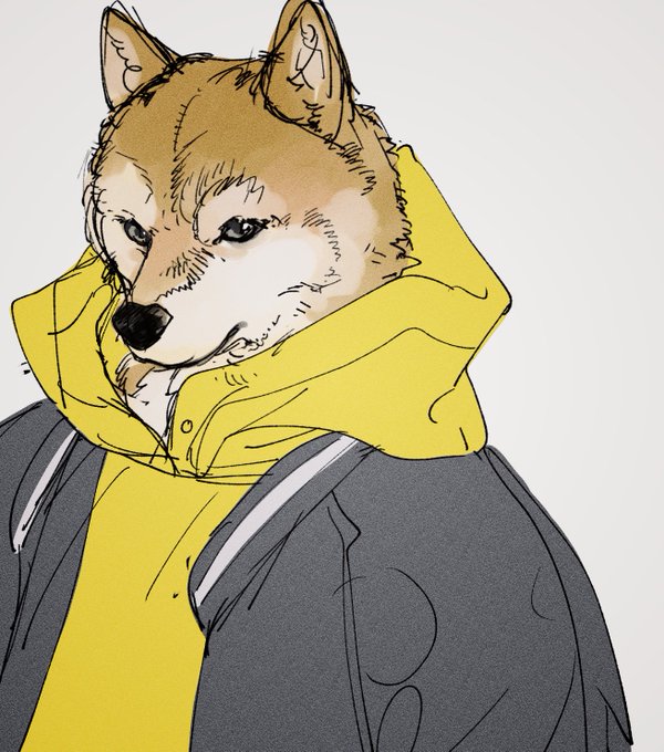「jacket shiba inu」 illustration images(Latest)