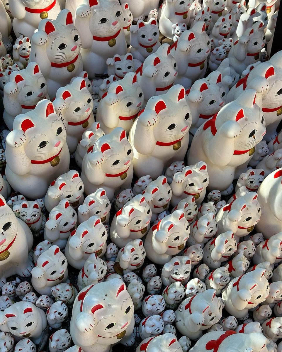 qing71290's tweet photo. The land of a thousand cats 🐈
Tokyo’s maneki neko ‘Lucky cat’ temple at Setagaya-ku

#gotokuji #manekineko #cattemple #tokyo #豪徳寺 #東京 #招き猫 https://t.co/4G8prgp0H0