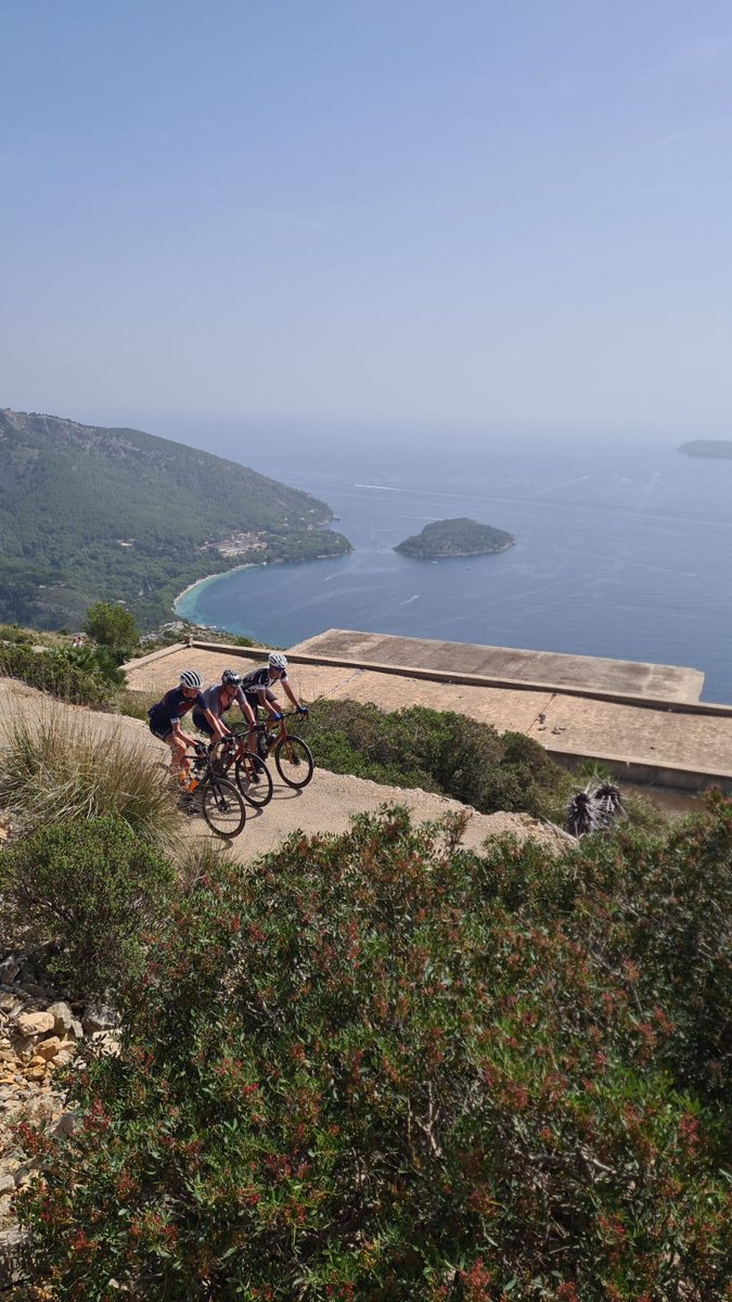 bikecation tweet media