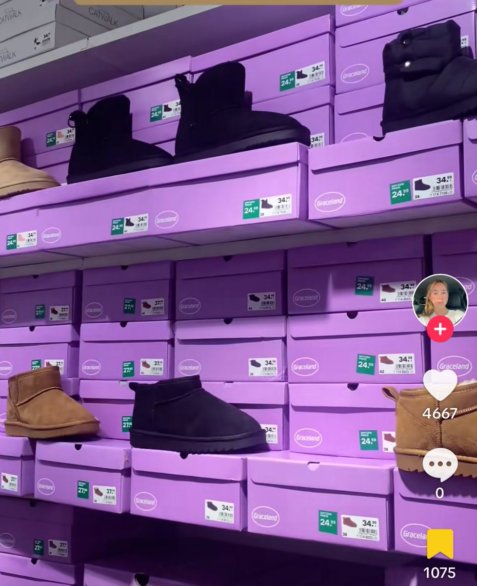 iris ❀ tweet media