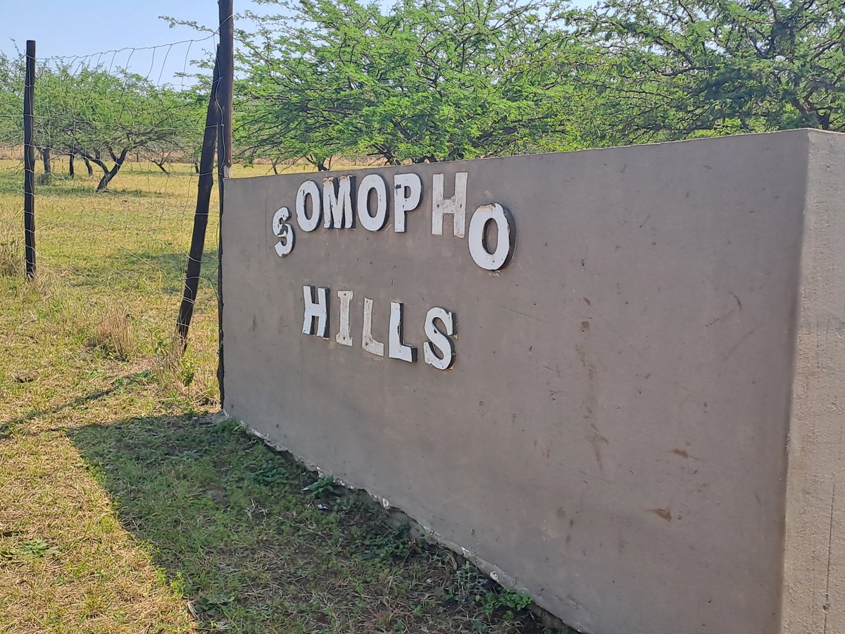 ZANewsFlash's tweet photo. Travel and leisure. Somopho hills under the City of Umhlathuze in northern KwaZulu-Natal. https://t.co/u8mKFqWKJl