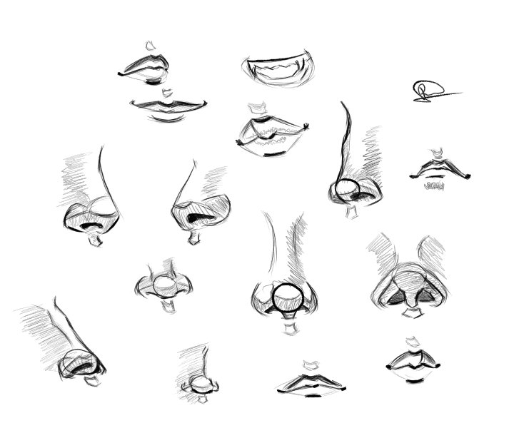 👃👄 Practicing the art of capturing expressions, one nose and mouth at a time. Exploring the intricate details that make each face unique. 🎨✨ #ArtistryInDetail #NoseAndMouthStudy #practice