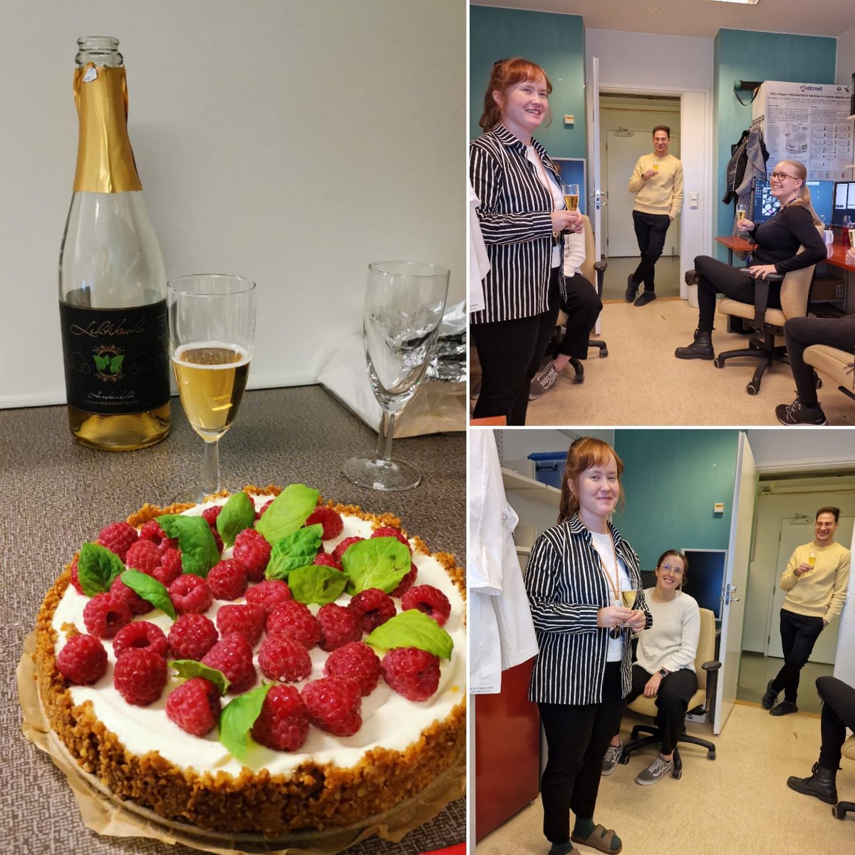 Time for celebration 🥳🥂. Congratulations to our @sinipitk for receiving a @UEF_DPMM Doctoral researcher position. Outstanding achievement, so proud 🧡. Looking forward to many great accomplishments awaiting in the future as well.