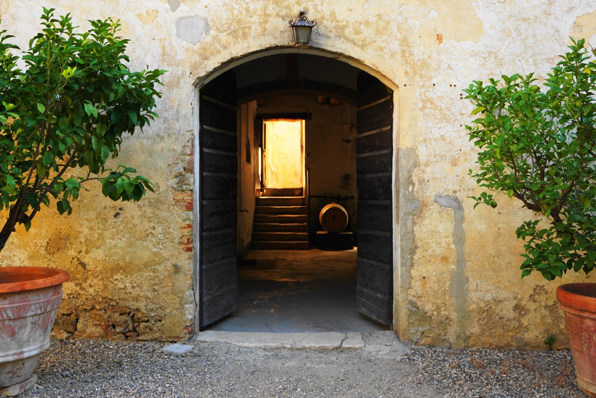 Here is the magic room that brings us in the bottaia ❤️
Book your Wine Experience here lornano.it/tour-tasting/ 

#lornano #wineexperience #chianticlassico #chianti #sangiovese #finewines #winetasting