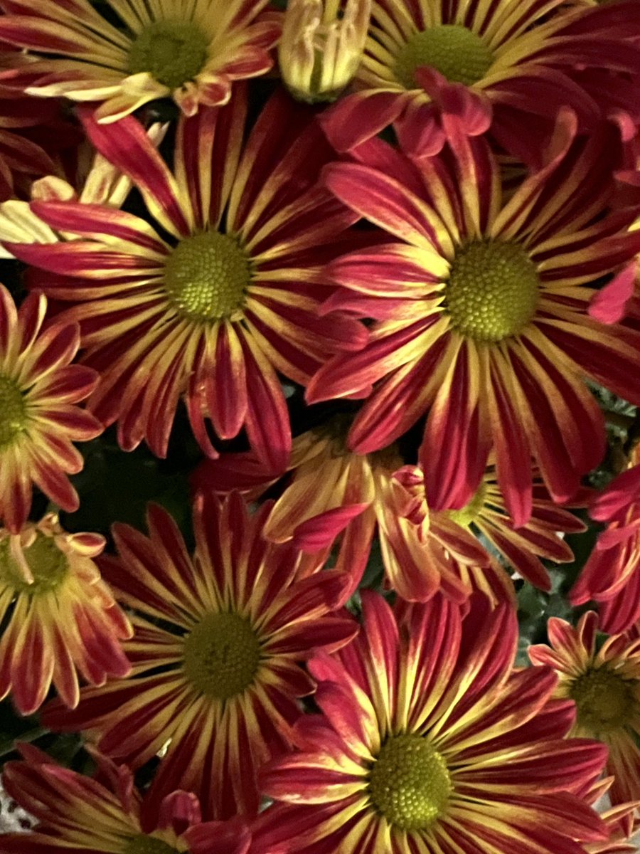 Make it a great day!