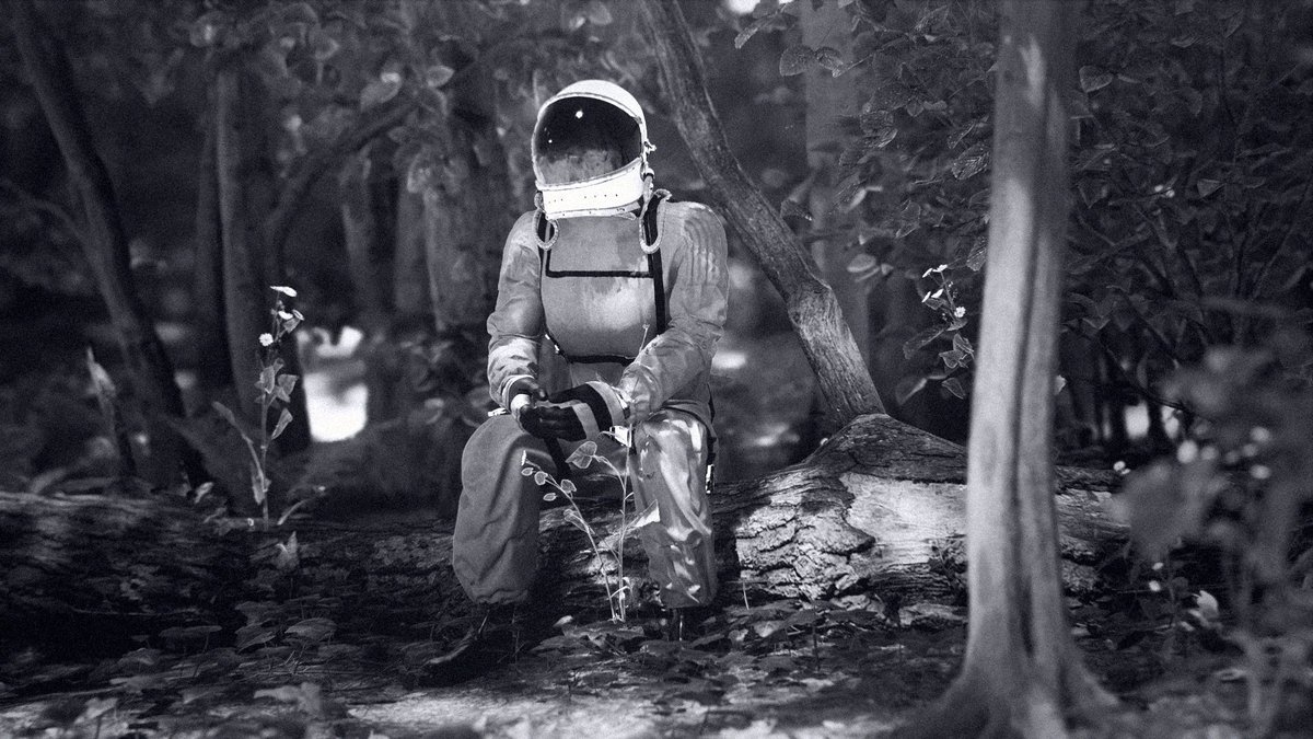 Diverted Light tweet media