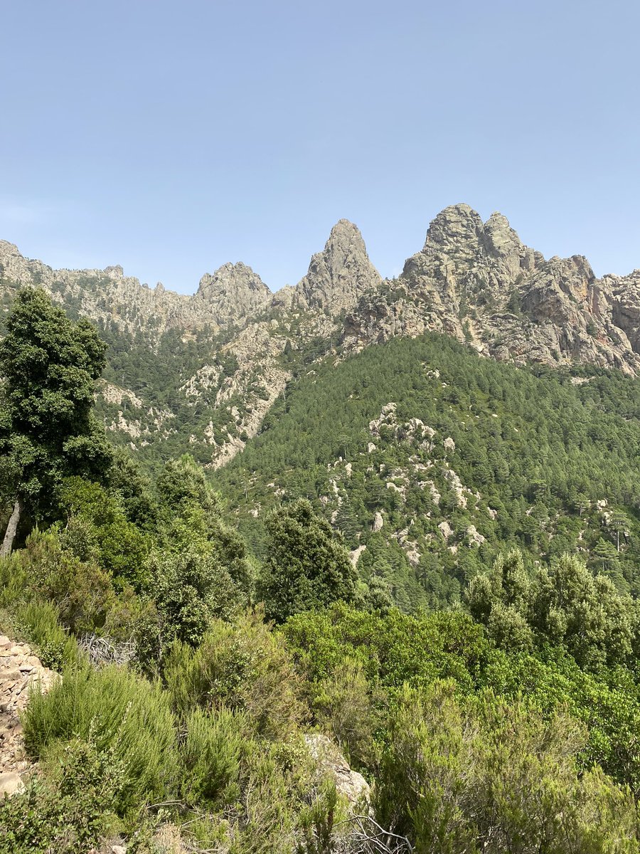 Annie SINKO (@anniesinko) on Twitter photo 