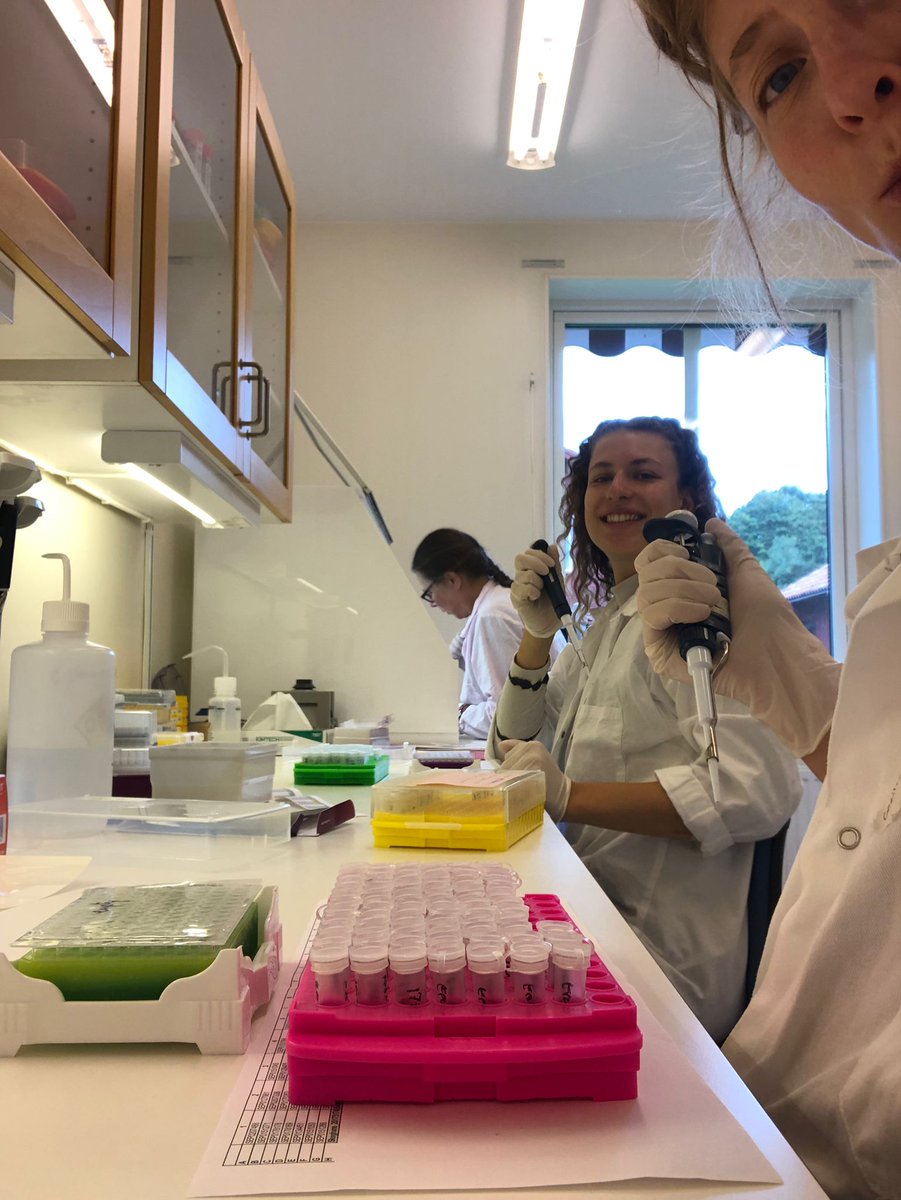 On todays episode of 50 shades of poop: When things don't go as planned, such as lab machines not working well, think about the positive sides such as the good time spent in busy lab rooms when prepping PCRs for wolf diet analysis! @LoanZumbach  #challanges #masterthesis