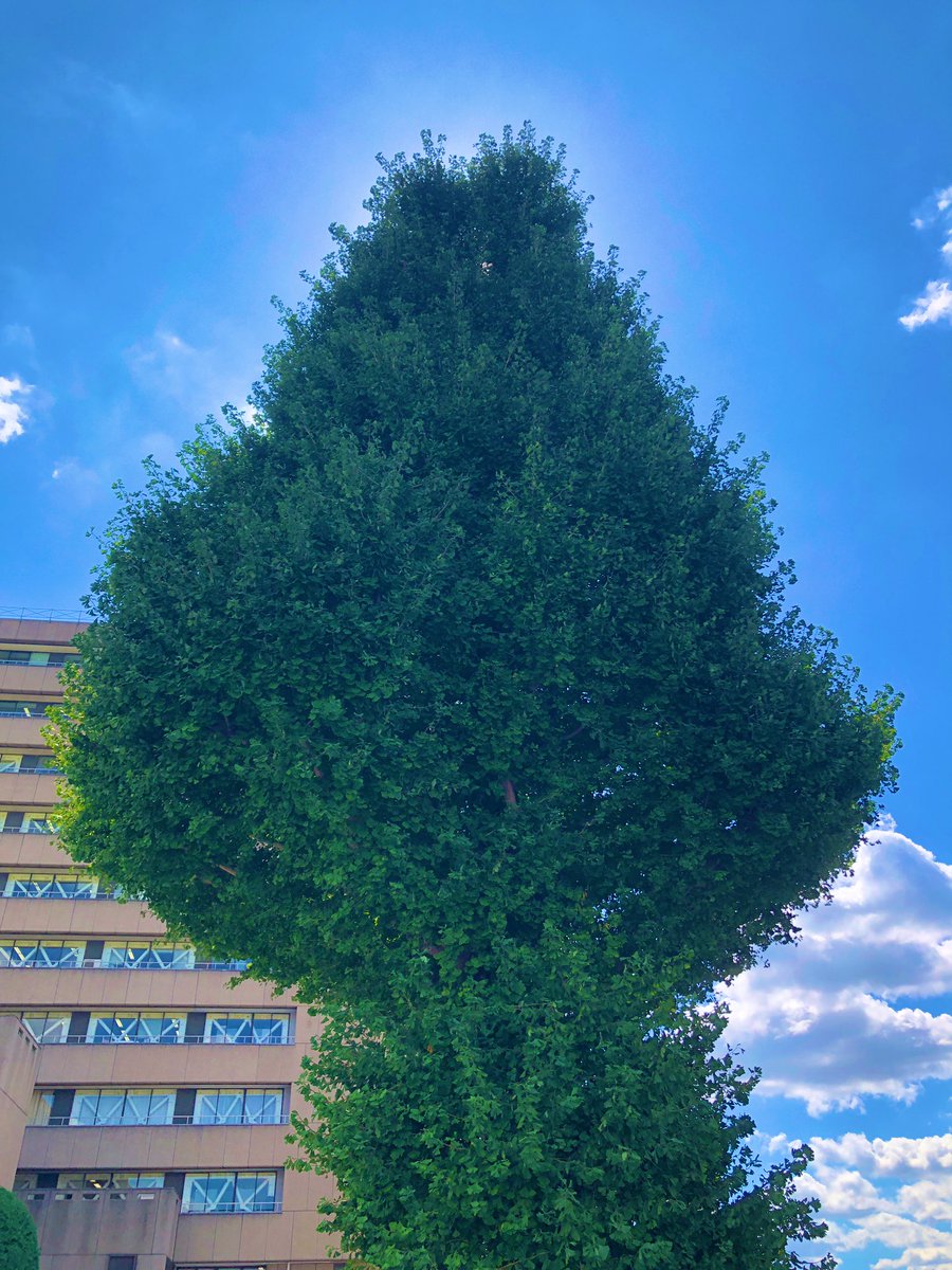 sangminto's tweet photo. #SpadeA #スペードA #青空
綺麗じゃない🤩 https://t.co/nFov5gFESH