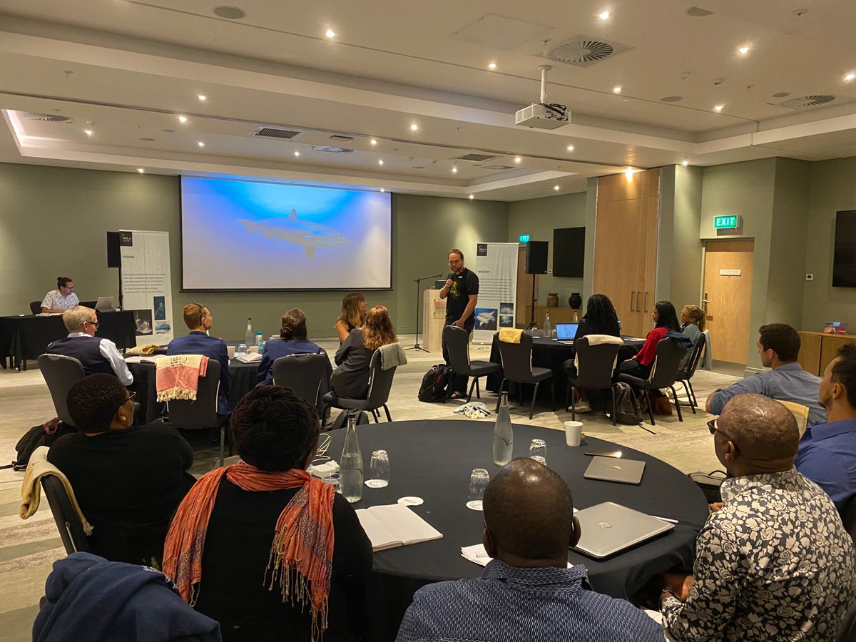 SharkRayAreas's tweet photo. The Important Shark and Ray Area (ISRA) project has just completed an expert workshop for the Western Indian Ocean. Experts from across the region delineated 154 candidate ISRAs. https://t.co/Spsuc2fm2v
