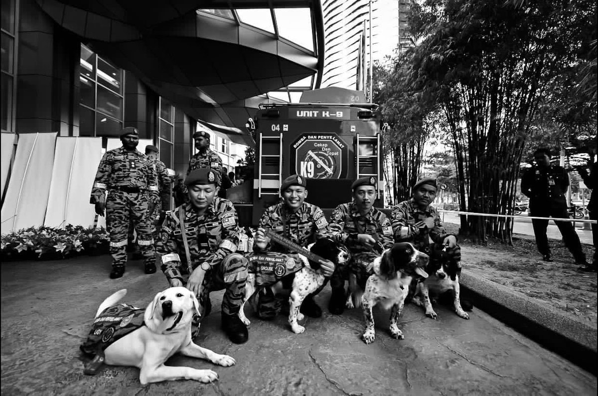 kpkt_gov's tweet photo. ANJING PENGESAN ‘BLAKE’ HIDAP BARAH LYMPHOMA TELAH TIADA

Blake, Anjing Pengesan milik Jabatan Bomba dan Penyelamat Malaysia (JBPM) terpaksa ditidurkan (euthanized) pada jam 4.38 petang semalam (18 September 2023) selepas dikesan menghidapi barah lymphoma.

#WiraMerah https://t.co/7qnHC74ukM