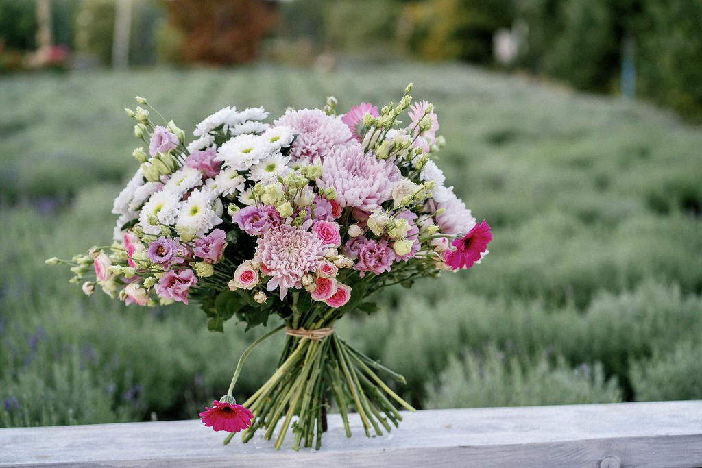 FlowerCircus.nl tweet media