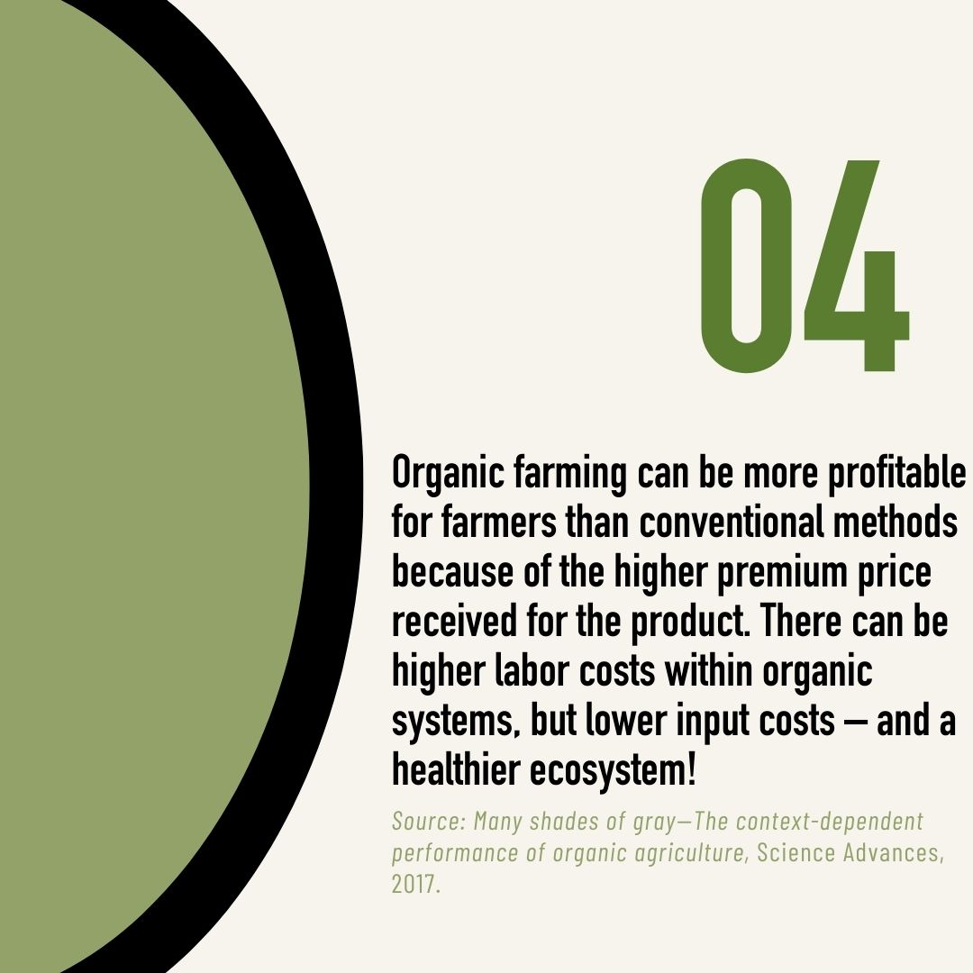 Into the Weeds Doc tweet media