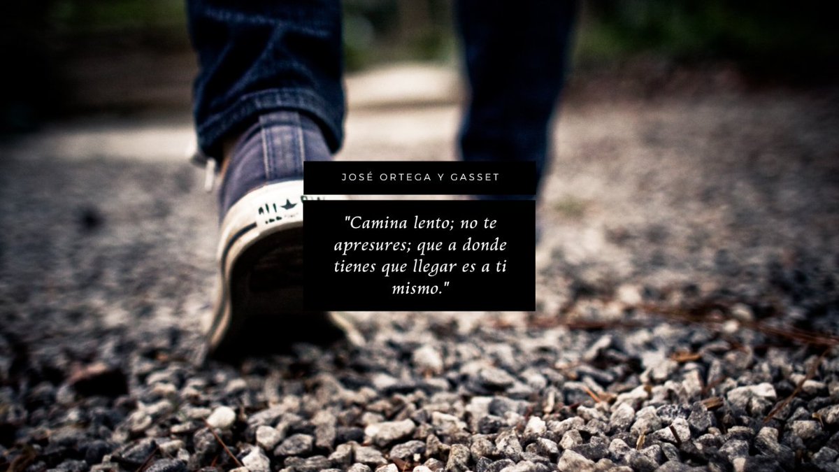 ReservaCamino's tweet photo. "Camina lento; no te apresures; que a donde tienes que llegar es a ti mismo."
José Ortega y Gasset
https://t.co/IUK8ow0DCN
#CaminodeSantiagoReservas #CaminodeSantiago #caminalento #conoceteatimismo https://t.co/Qa3wDvGxG5
