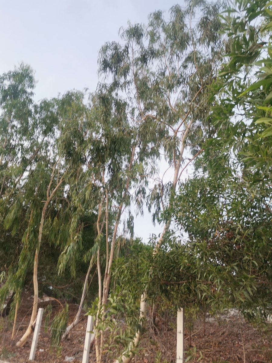 Xin em hay thoi, dung mong trach phan,