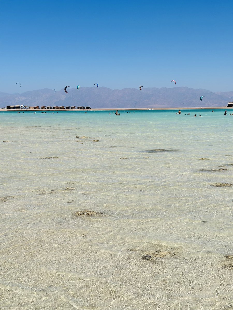 #NewProfilePic🌊❤️🥰