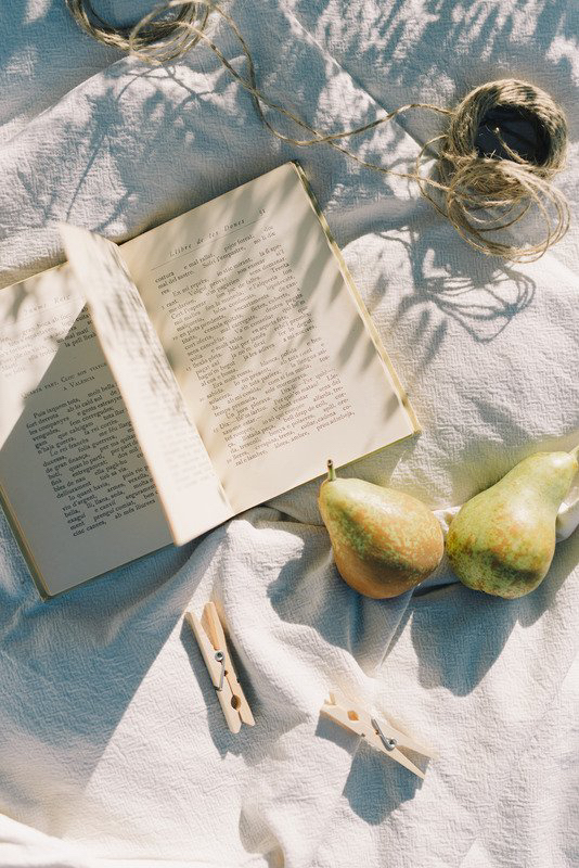 Taking a nostalgic journey back to days of books, games and natures embrace. 📚 🎲 🌿 

#DigitalDetox
#Unplug
#NatureTherapy
#Wellness
#Mindfulness
#NatureLovers
#HealthyLifestyle
#SelfCare
#OutdoorAdventures
#Balance
#MindfulLiving
#WellnessWednesday
#NatureInspired
#DisconnectT
