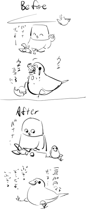 インコもお口が上品になる 