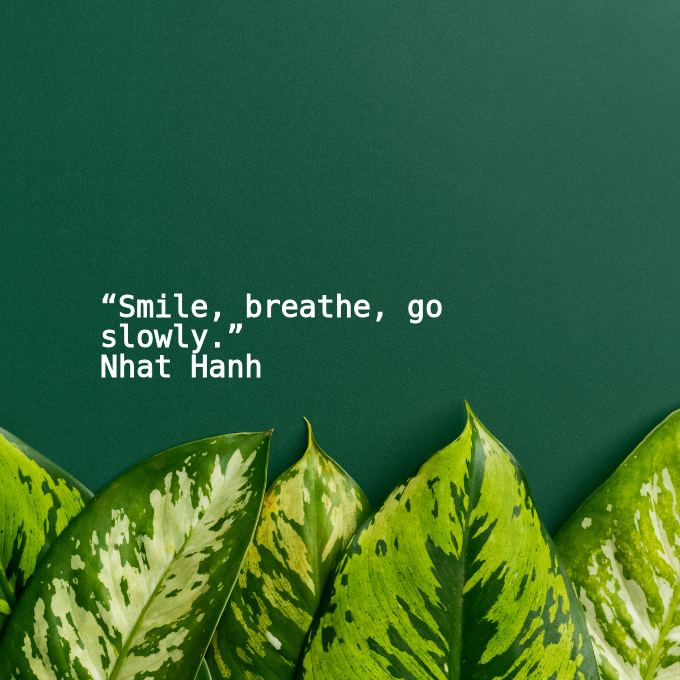 Qu0tes108's tweet photo. 📖“Smile, breathe, go slowly.”
🖋Nhat Hanh
#NhatHanh
#goodquotesdaily
#motivationquotes
@RenaiArt108 https://t.co/APtXLPYtt3