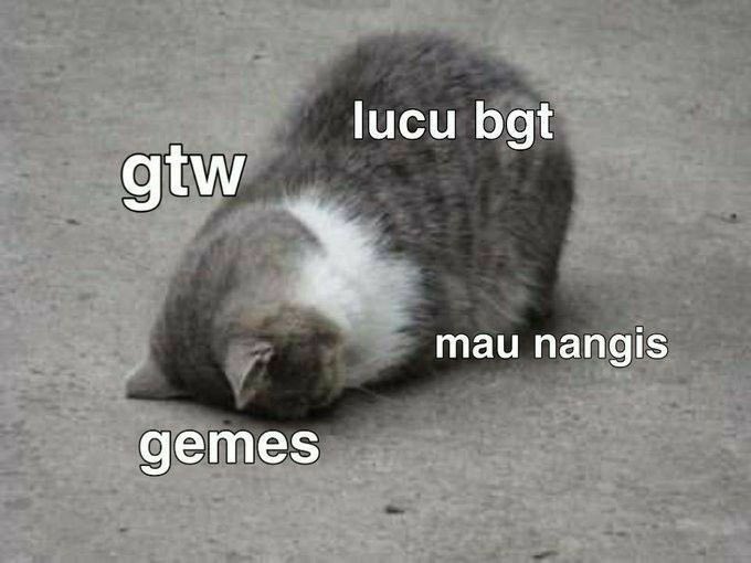 jedithsamuel's tweet photo. @C_JessiJKT48 https://t.co/S9HgscPQU3