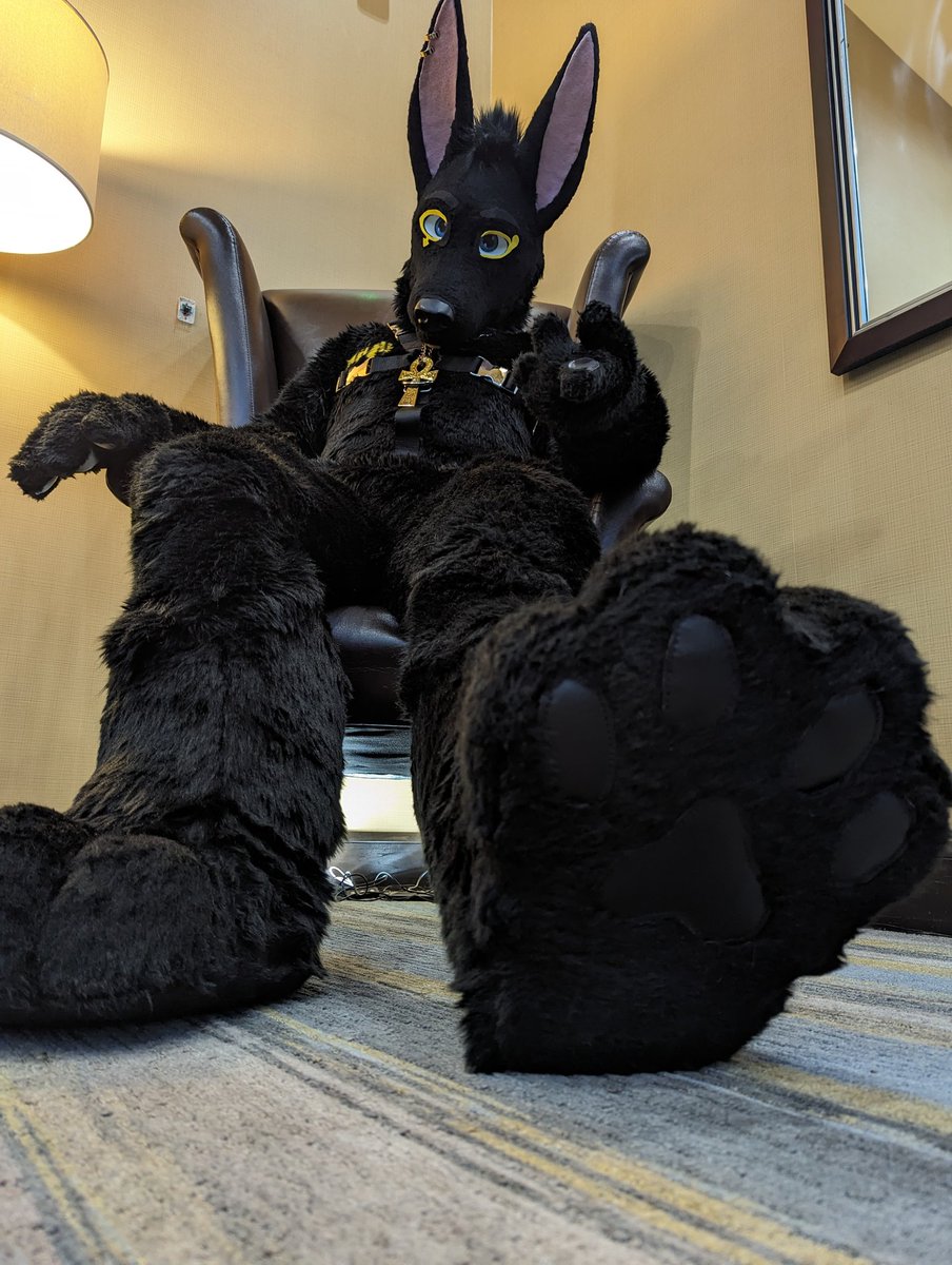 AlexeiJackal's tweet photo. Hey! Quit gawking and get to work down there.

📸 @aerialiftstudio 
#fursonacon2023 #fursuit https://t.co/LJlSzgASOU
