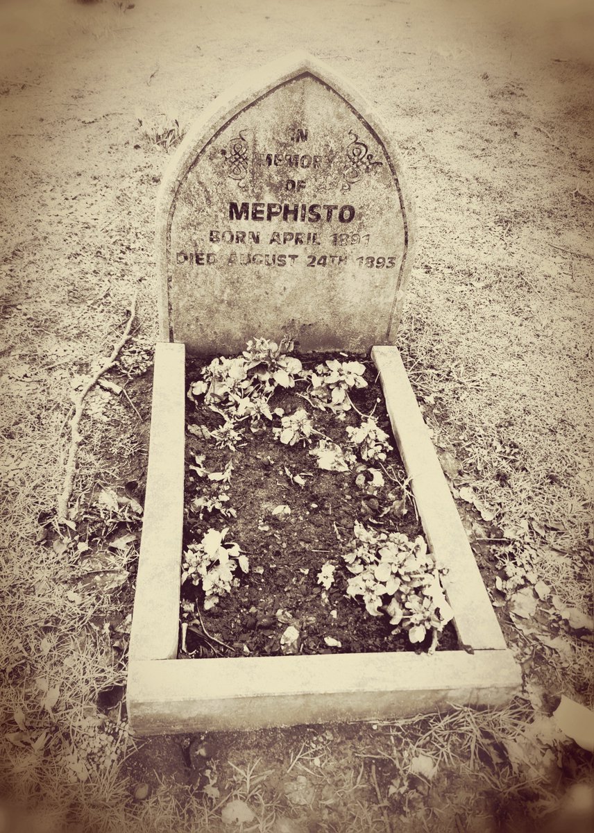 <a href="/kiripritchardmc/">Kiri Pr'chard-McLean</a> <a href="/BBCRadioWales/">BBC Radio Wales</a> My home town of Littleborough has the monkey's grave by the library in the park, which used to be an old stately home. We'd put flowers on it as kids.
A historian said that it's not a monkey buried there, it's a dog. But we all told them to shut their whore mouth. Is a monkey.